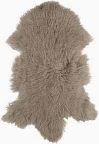 Schapenvacht Tibetan
