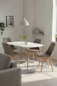 Set 4 Synk Basic Stoelen
