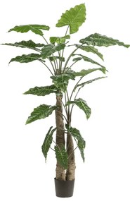 Alocasia Calidora Kunstplant - 180 cm