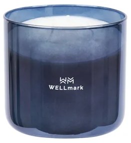 Wellmark Brave collection Geurkaars - groot - metallic grey 8720938454318