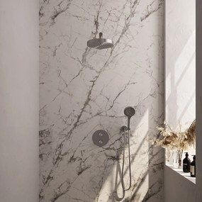 Brauer Stripe inbouw regendouche rond met 25cm hoofddouche, rechte muurarm en 3 standen handdouche set 40 RVS geborsteld PVD