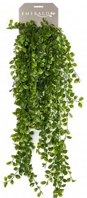 Emerald Kunstplant klimvijg 80 cm