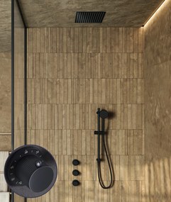 Saniclear Plus Stripes inbouw regendouche met inbouw douchekop 30x30cm en glijstang zwart mat