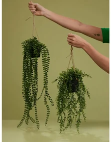Emerald Kunstplant hangend in pot ficus pumila 60 cm