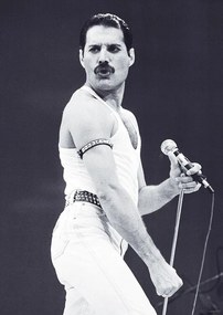 Poster Freddie Mercury - Live Aid, (59.4 x 84.1 cm)