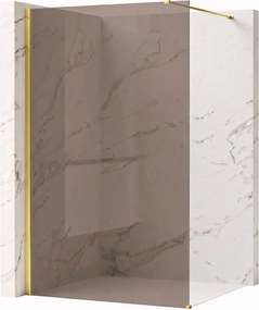 Walk-in douchewand Rea Flexi Brown / Gold 110