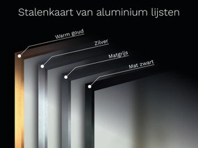Spiegel met lijst B8