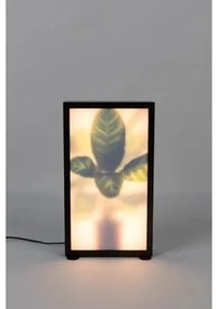 Zuiver Vloerlamp Grow Xxl - Zwart