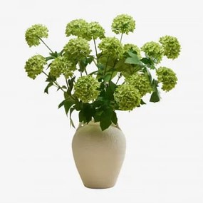 Atlantia Decoratieve Boeket Groen - Sklum