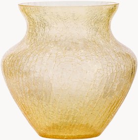 Mondgeblazen vaas Frosty Dahlia