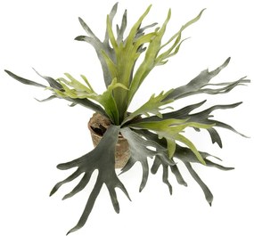 Varen Staghorn Kunstplant - 75 cm