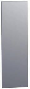 BRAUER Emerald spiegel - 25x70cm - rechthoek - aluminium SP-EM25RH