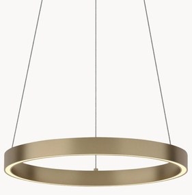 LED hanglamp Rim