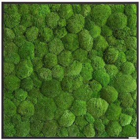 Handgemaakt bolmos wanddecoratie Forest, ingelijst