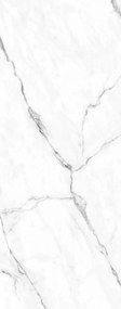HSK RenoDeco Designpaneel 100x255 cm Natuursteen Marmer Carrara Wit Zijdeglans