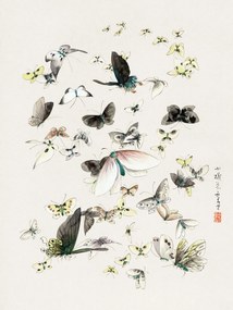 Kunstreproductie Butterflies & Moths (2 of 2) - Katsushika Hokusai, (30 x 40 cm)