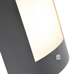 Buiten wandlamp antraciet IP44 schemersensor - Emmerald