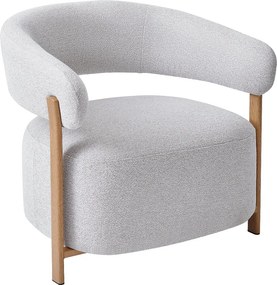 Fauteuil Met Ronde Rugleuning