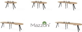 Mazzoni EXPANSO Artisan Eiken / zwarte poten - OVALE UITSCHUIFTAFEL 160-360 cm VOOR 16-18 PERSONEN