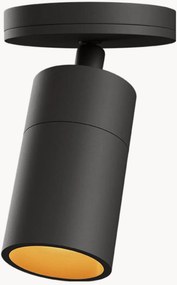 Verstelbare plafondspot Expo