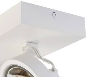 Design spot wit verstelbaar 2-lichts - Go