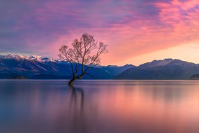 Foto Pastel evening, Jianping Yang