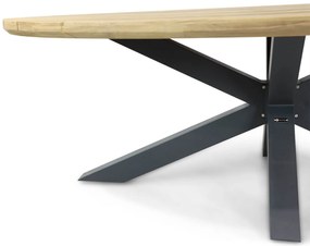 Dining Tuintafel ovaal 280 x 130 cm Old teak greywash Santika Diogo