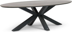 Dining Tuintafel ovaal 240 x 120 cm Grijs Lunea
