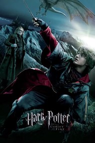 Kunstafdruk Harry Potter - De Vuurbeker - Harry, (26.7 x 40 cm)