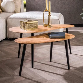 Salontafel Set Van 2 Organische Vorming