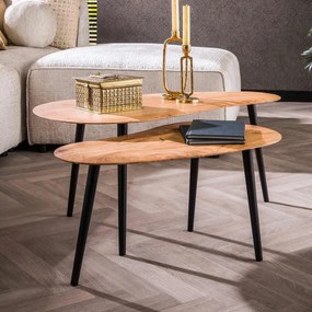 Salontafel Set Van 2 Organische Vorming