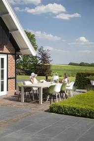 Set van 4 - Hartman Sophie Element dining armstoel - moss groen