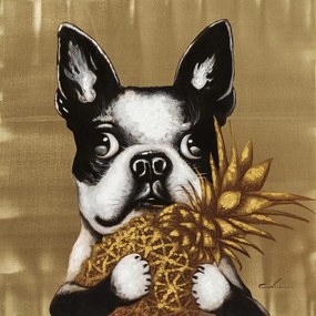 Kare Design Touched Afbeelding Van Hond Met Ananas