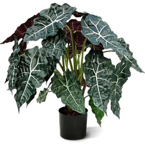 Alocasia Polly Kunstplant - 75 cm