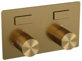 BRAUER Gold Carving - 2 functies - inbouwthermostaat - drukknoppen - in/afbouwdelen - goud geborsteld PVD 5-GG-157