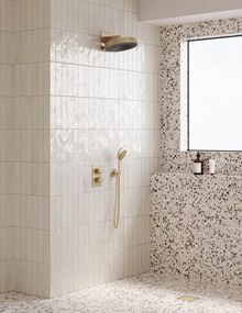 Saniclear Evolution inbouw regendouche met 2 standen handdouche geborsteld messing - mat goud