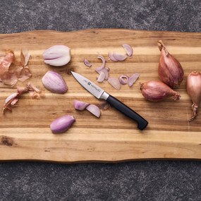 ZWILLING VIER STERNE Schilmes, 10 cm - VIER STERNE - ZWILLING
