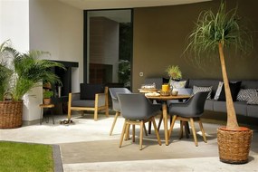 Hartman Sophie Studio dining armstoel - Xerix- Teak poot