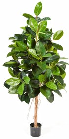 Ficus Elastica kunstplant - 140 cm