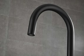 Saniclear Nero Curved inbouw badkraan met vrijstaande uitloop zwart mat