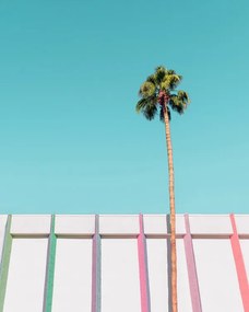 Foto Above and Beyond, Tom Windeknecht
