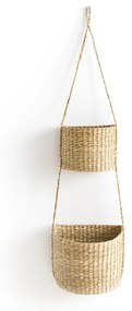 Hangende mandjes in herbarium, Cesta