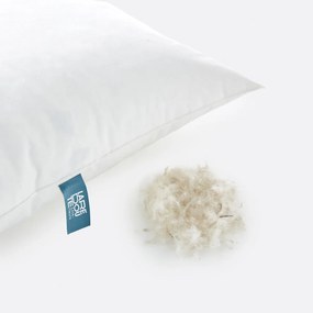 Zacht kussen 30% dons