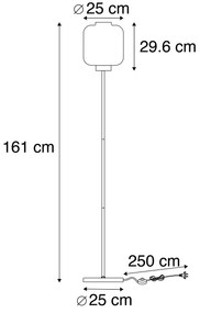 Smart vloerlamp zwart met smoke glas incl. Wifi ST64 - Qara Design E27 Binnenverlichting Lamp