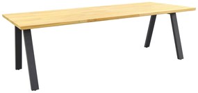 Taste Ambassador tuintafel - 240x100 cm. OP=OP