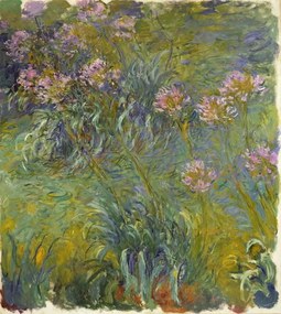 Claude Monet - Kunstdruk Agapanthus, 1914-26, (35 x 40 cm)