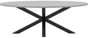 Goossens Eettafel Stone, Ovaal 250 x 120 cm