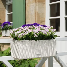 LECHUZA Plantenbak BALCONERA Cottage 50 ALL-IN-ONE wit