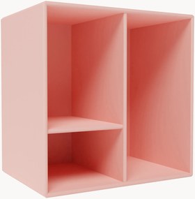 Module Mini 1002