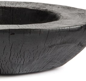 Schaal in gebrand hout, Utah